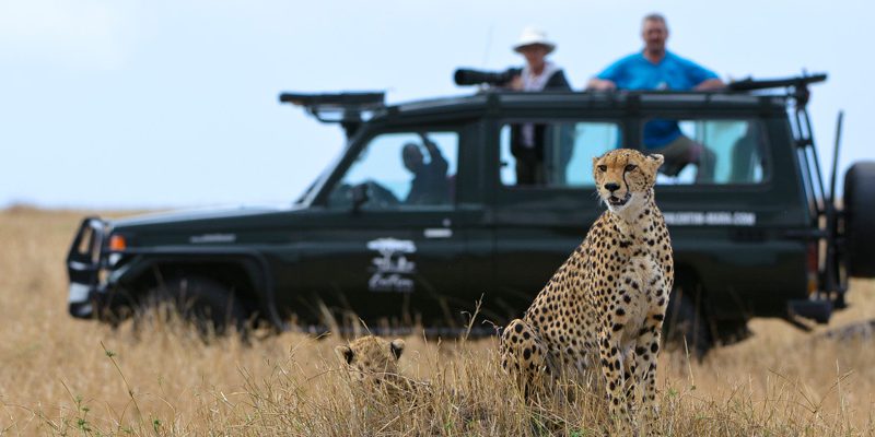 Kenya: Discover the Wildlife Wonders of Masai Mara & the Scenic Shores of Lake Naivasha