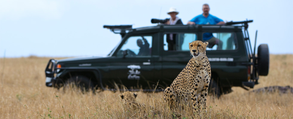 Kenya: Discover the Wildlife Wonders of Masai Mara & the Scenic Shores of Lake Naivasha