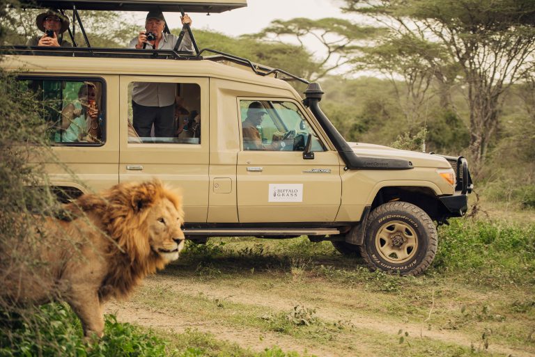 TANZANIA: Affordable 4 Days Private Safari -Explore Tarangire, Serengeti & Ngorongoro.