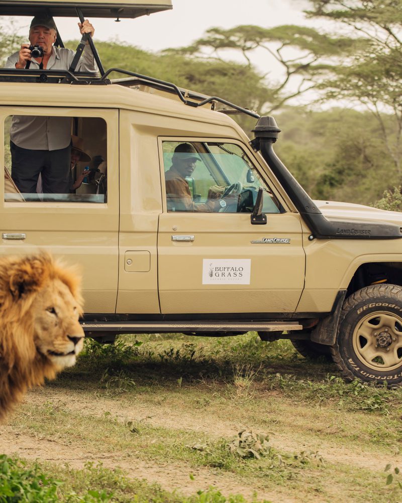 TANZANIA: Affordable 4 Days Private Safari -Explore Tarangire, Serengeti & Ngorongoro.