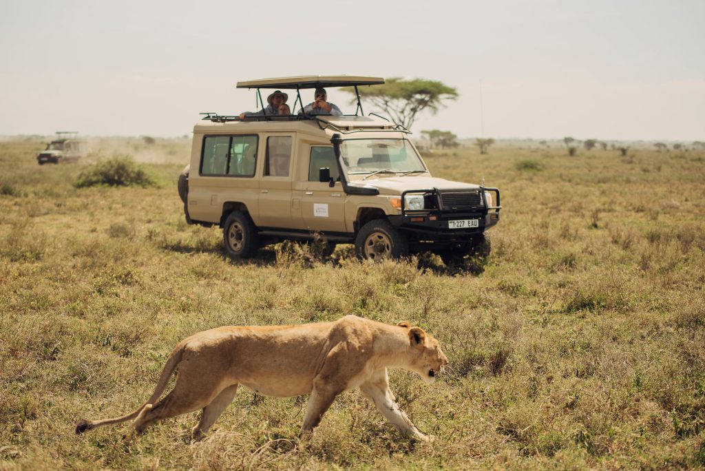 TANZANIA: Affordable 4 Days Private Safari -Explore Tarangire, Serengeti & Ngorongoro.