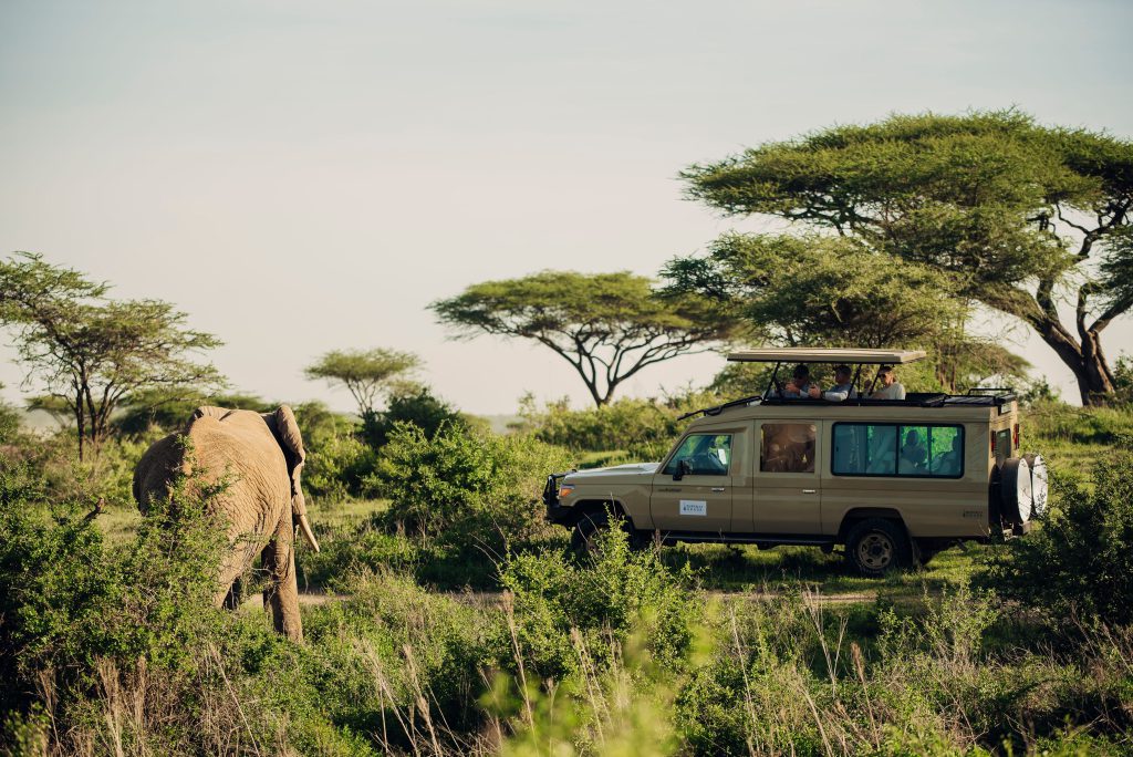 TANZANIA: Affordable 4 Days Private Safari -Explore Tarangire, Serengeti & Ngorongoro.